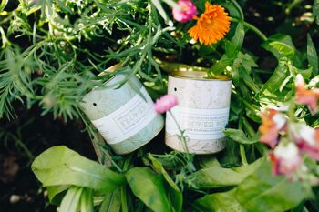 Bulbes à fleurs et graines de fleurs pour vos propres bouquets (emballage vert) 6