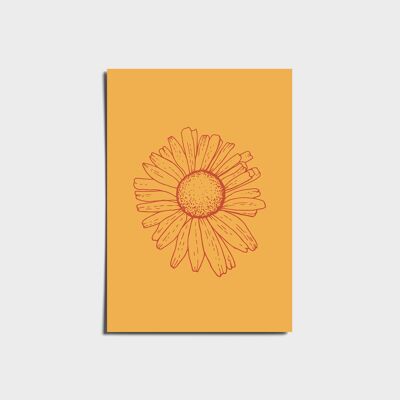 Yellow Daisy Flower Poster a3