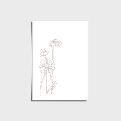 Light Brown Daisy Flowers Poster a3