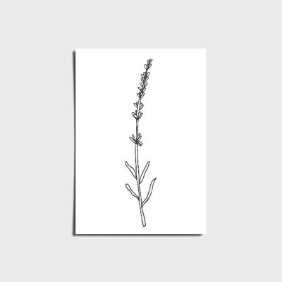Boho Minimal Grey Lavendel Poster a3