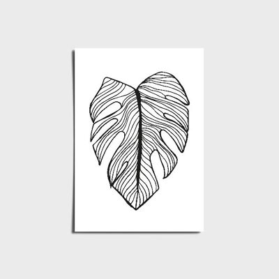 Boho Black And White Monstera Poster a3