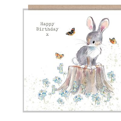 Biglietto di compleanno di coniglio - Illustrazione affascinante - Coniglio con farfalle e nodi dimenticati - Gamma 'Bucklebury Wood' - Prodotto nel Regno Unito - BWE08