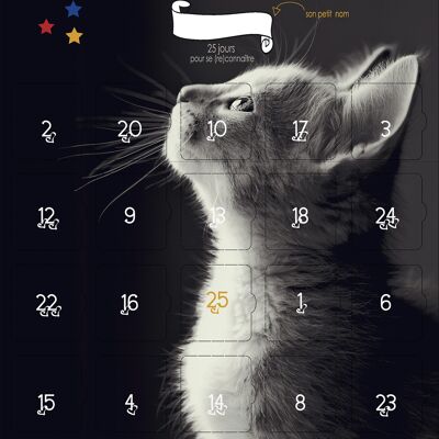Calendario antes o después de 25 días con tu gato
