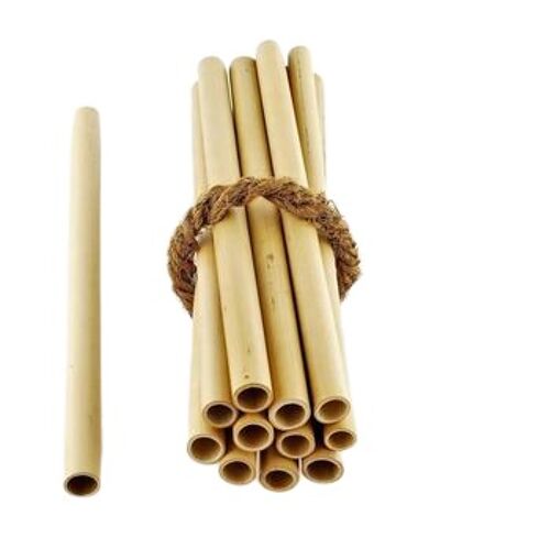 Paille en bambou