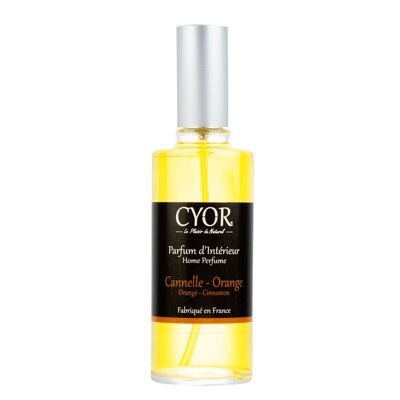 Home fragrance Cinnamon Orange 100ml - Refillable