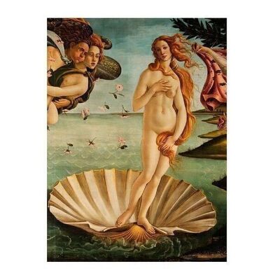 Cuaderno de bocetos de arte de tapa blanda, Botticelli, El nacimiento de Venus