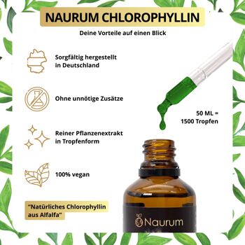 Chlorophyll Liquid Drops - Chlorophylle liquide naturelle de luzerne 3