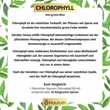 Chlorophyll Liquid Drops - Chlorophylle liquide naturelle de luzerne 4