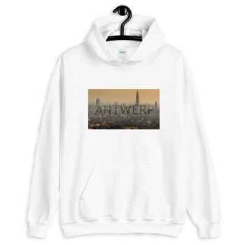 Sweat à capuche Antwerp Skyline - Heather foncé 2