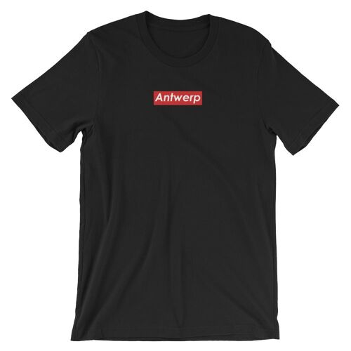 Antwerp Box logo - Unisex - Ash