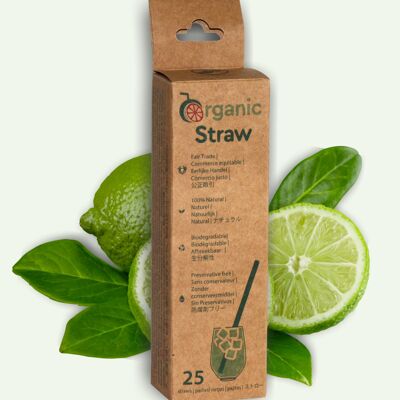 Disposable 100% VEGETAL straw - 12 cm - 25 straws