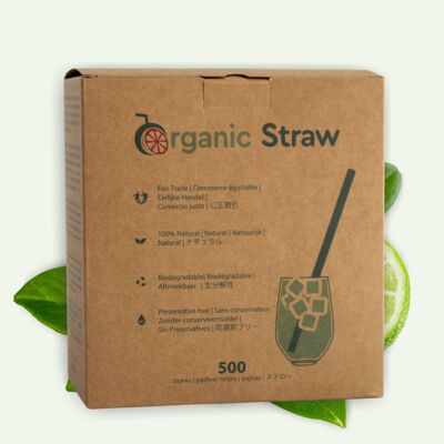 Disposable 100% VEGETAL straw - 16 cm - 25 straws