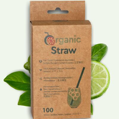 Disposable 100% VEGETAL straw - 12cm - 100 straws