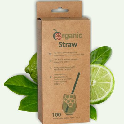 Disposable 100% VEGETAL straw - 16 cm - 100 straws