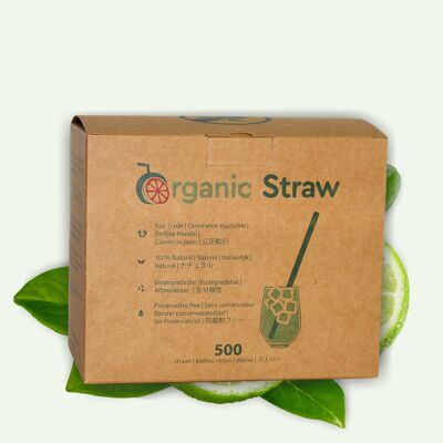 Disposable 100% VEGETAL straw - 12 cm - 500 straws