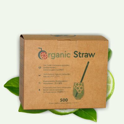 Disposable 100% VEGETAL straw - 12 cm - 500 straws