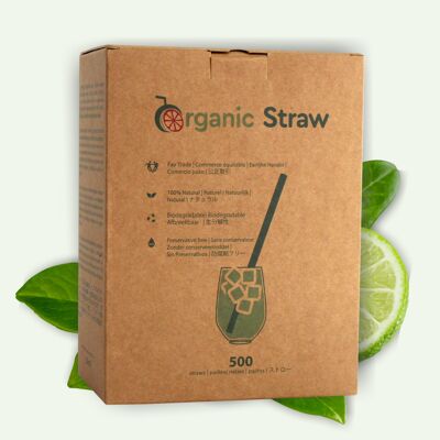 Disposable 100% VEGETAL straw - 20 cm - 500 straws