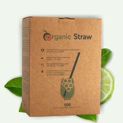 Disposable 100% VEGETAL straw - 20 cm - 500 straws