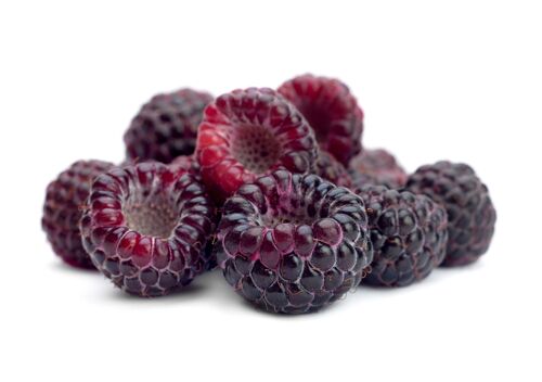 Black Raspberry .