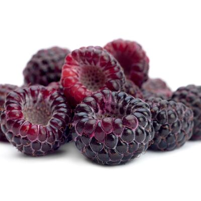 Black Raspberry 3