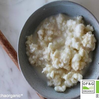 10 g Kombuchaorganic® Live Certified Organic RAW Milk KEFIR Grains - Grasgefütterte Kuhmilch-Kefirkörner