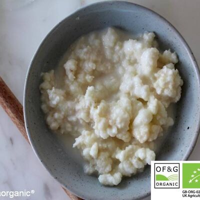 10 g de Kombuchaorganic® Live Certified Organic RAW Milk KEFIR Granos - Granos de kéfir de leche de vaca alimentada con pasto