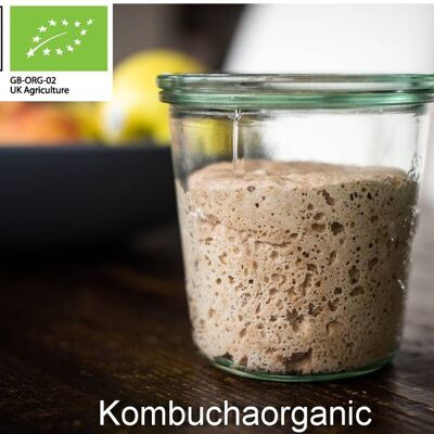 Antipasto di lievito naturale di Kombuchaorganic ® - Molto vecchio e maturo - 40 anni di lievito madre biologico certificato Lake District - Antipasto di pane - 80 g per tutti i tipi di farina