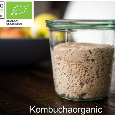 Masa Madre de Kombuchaorganic ® - Muy Vieja y Madura - 40 años Masa Madre Orgánica Certificada por el Distrito de los Lagos - Masa Madre de Pan - 80g para todo tipo de harina