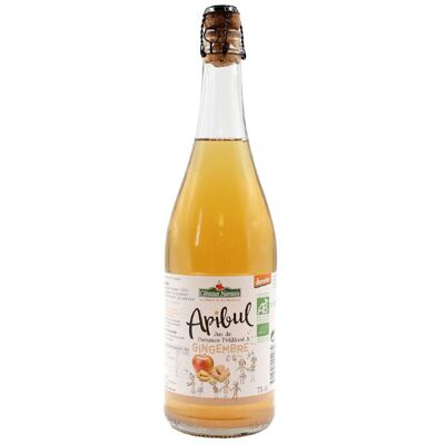 Apibul pommes gingembre Bio Demeter -75 cl