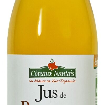 Jus pommes Bio - 25 cl