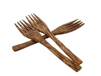 Fourchette en bois de coco 3