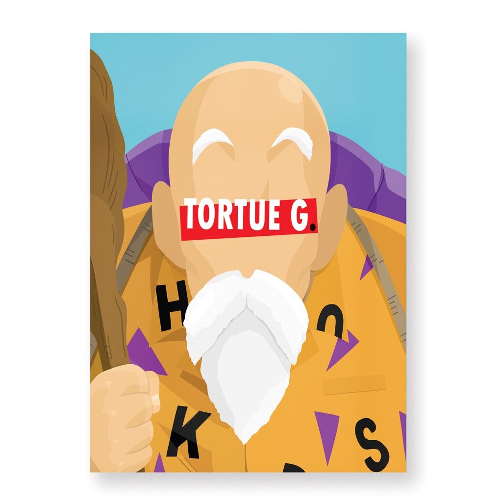 Tolles Schildkröten-Poster – 30 x 40 cm