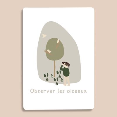 Carte Observer les oiseaux