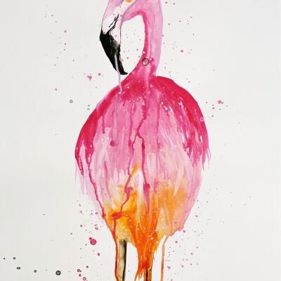 Flamingo-go Print