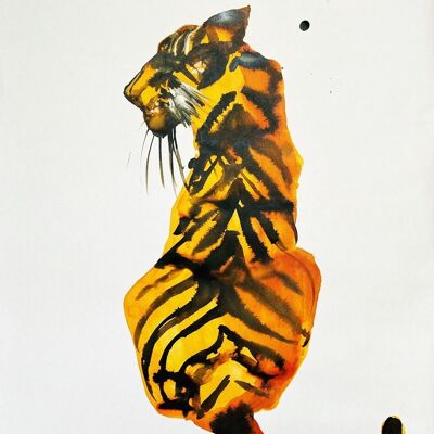Tiger Tiger Print