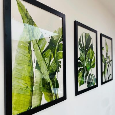 The ‘Green’ Set Prints