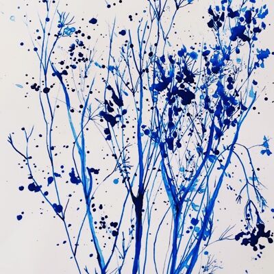 Blue Gypsophila Print