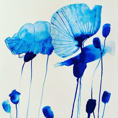 Blue Poppies Print