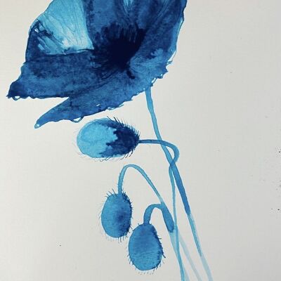 Blue Ink Poppies 2 Original