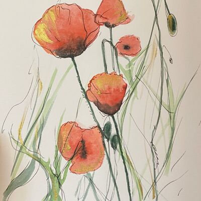 Red Poppies Illustration Original