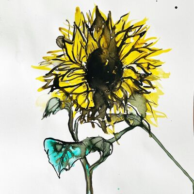 Sunflower Original