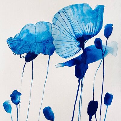 Blue Poppies Original