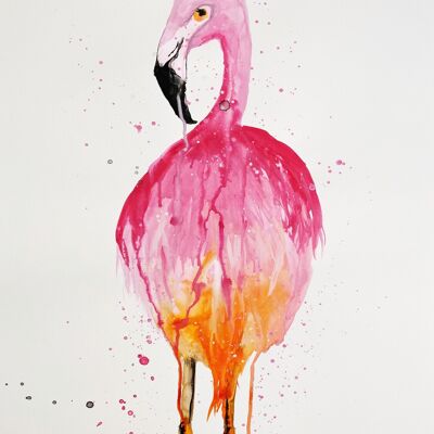 Flamingo-go Original