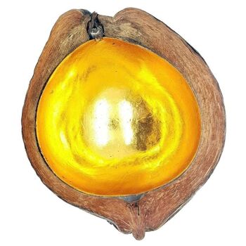 Bol en noix de coco dorée entière, 15-18 cm 4