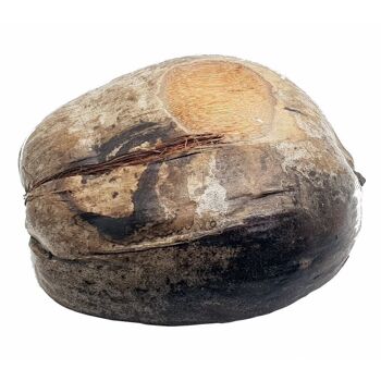 Bol en noix de coco dorée entière, 15-18 cm 5