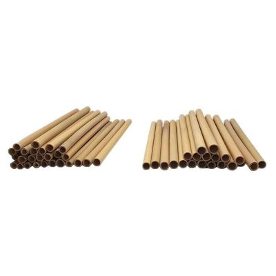 Pajitas de bambú Vie Gourmet, 22 cm, individuales