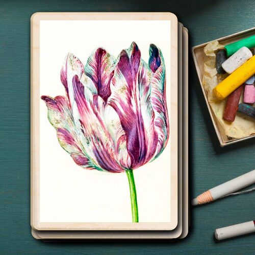 Wooden Postcard HOLTZBECKER, PINK TULIP Fine Art Card