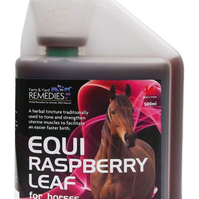 Equi-Raspberry Leaf