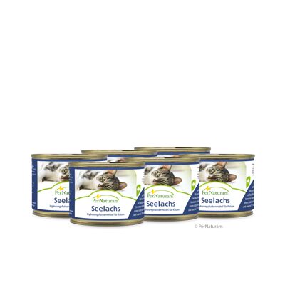 Lattina di carne Pollock (200 g)