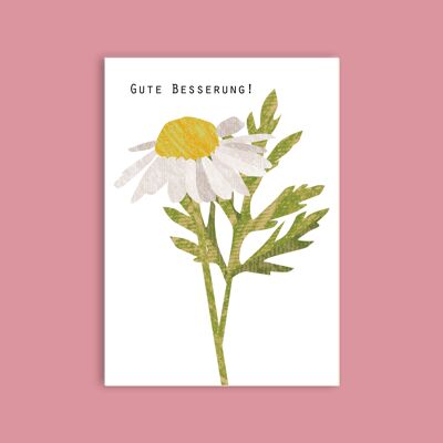 Postal cartón pasta de madera - flores - manzanilla